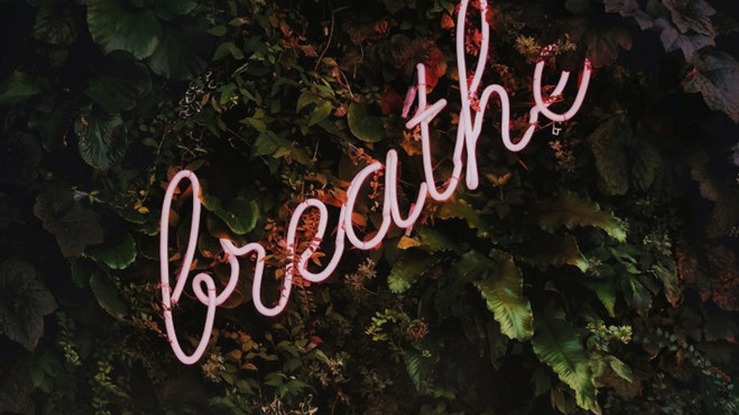 My Breathwork Channel